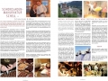 Relaxed_31-2014-S2627